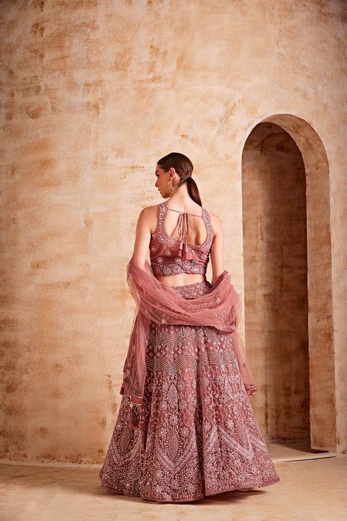 Neerus Women Onion Color Nett Fabric Ghagra Set