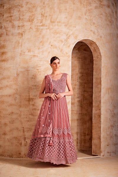 Neeru'S Women Onion Color Nett Fabric Gown