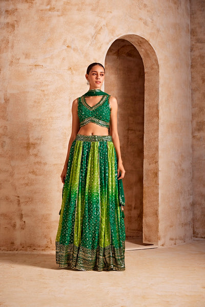 Neeru'S Women Green Color Crepe Fabric Gharga Set