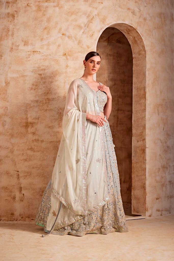 Neerus Women Grey Color Nett Fabric Ghagra Set