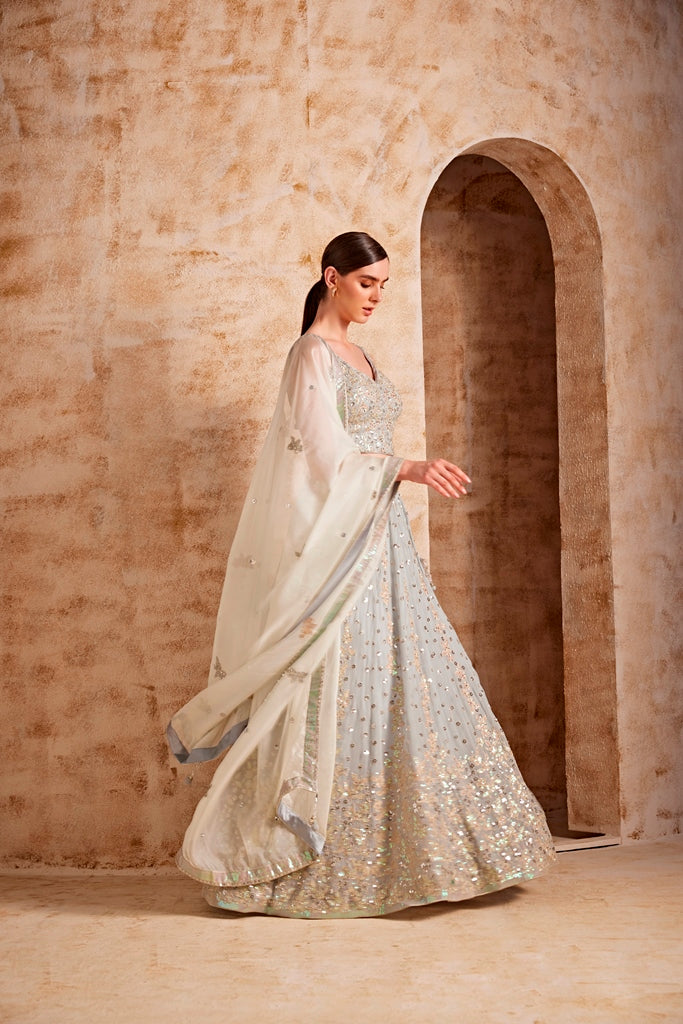 Neerus Women Grey Color Nett Fabric Ghagra Set