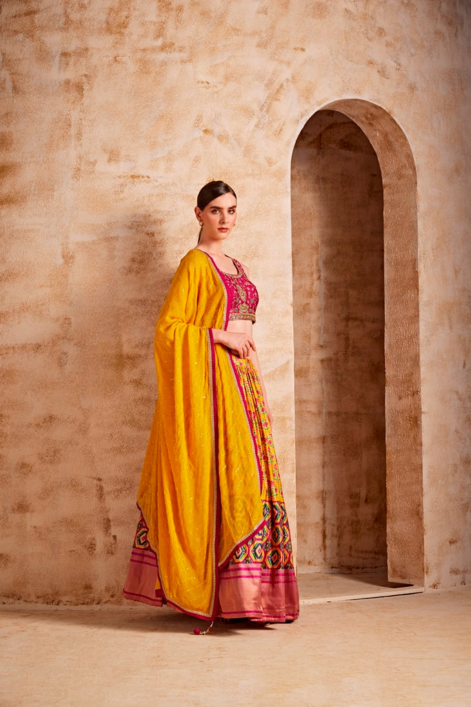 Neerus Maroon Banarasi woven lehenga set - back view