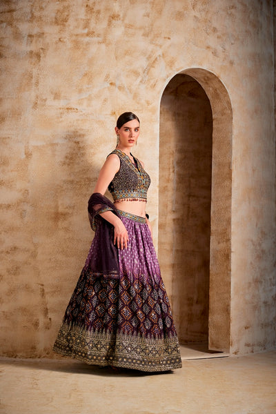 Neeru'S Brown Color Embroidered Ghagra Set