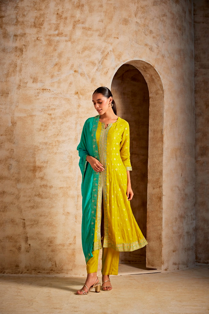 Neerus Green georgette embroidered suit set - back view