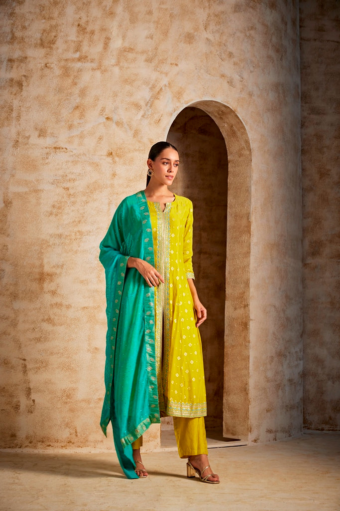 Neerus Green georgette embroidered suit set - side view