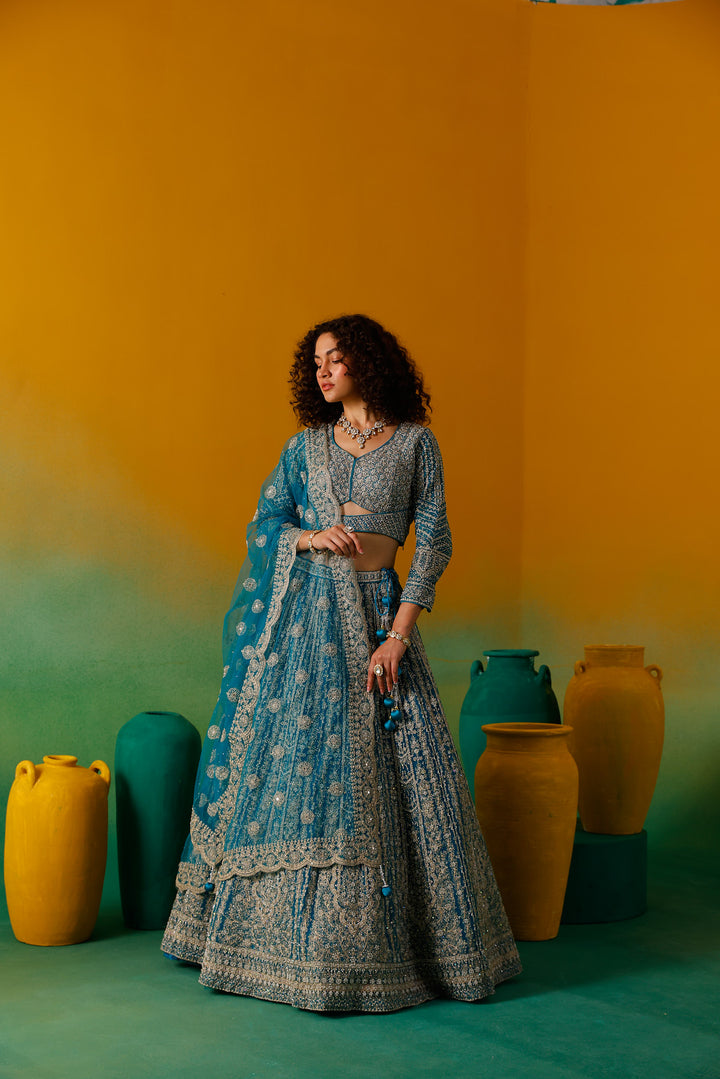 Neerus Rama Embroidery work Nett Fabric Ghagra Set