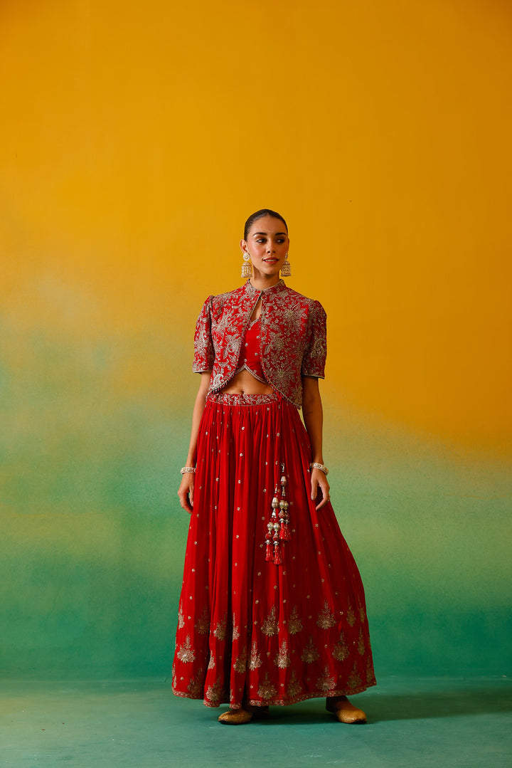 Neerus Red Embroidery work Chinon Fabric Ghagra Set