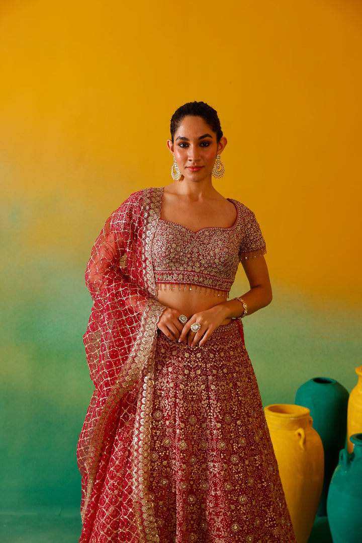 Neerus Rani Pink Embroidery work Nett Fabric Ghagra Set