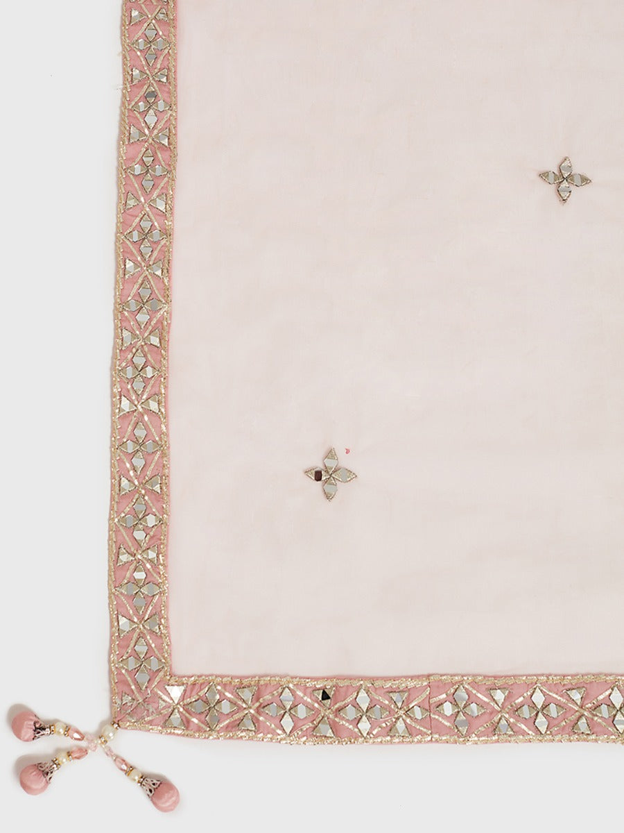 Neerus Pink net embellished lehenga ghagra set - detail view 1