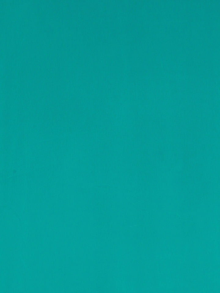 Neerus Aqua Embellished Saree With Blouse