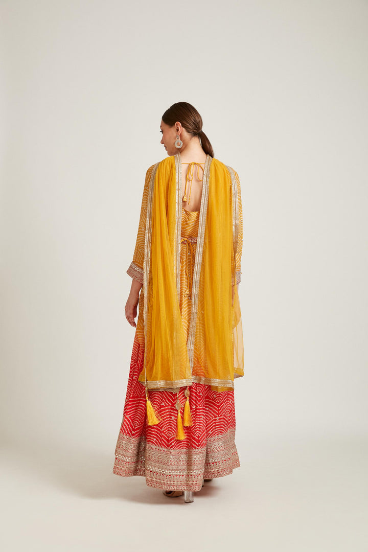 Neerus Mustard Color Georgette Fabric Gown