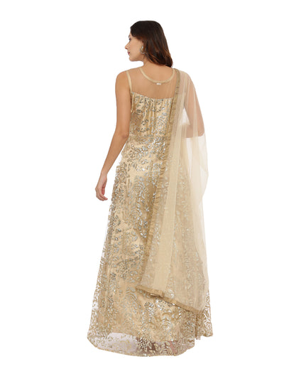 Neeru's Gold Color Nett Fabric Gown