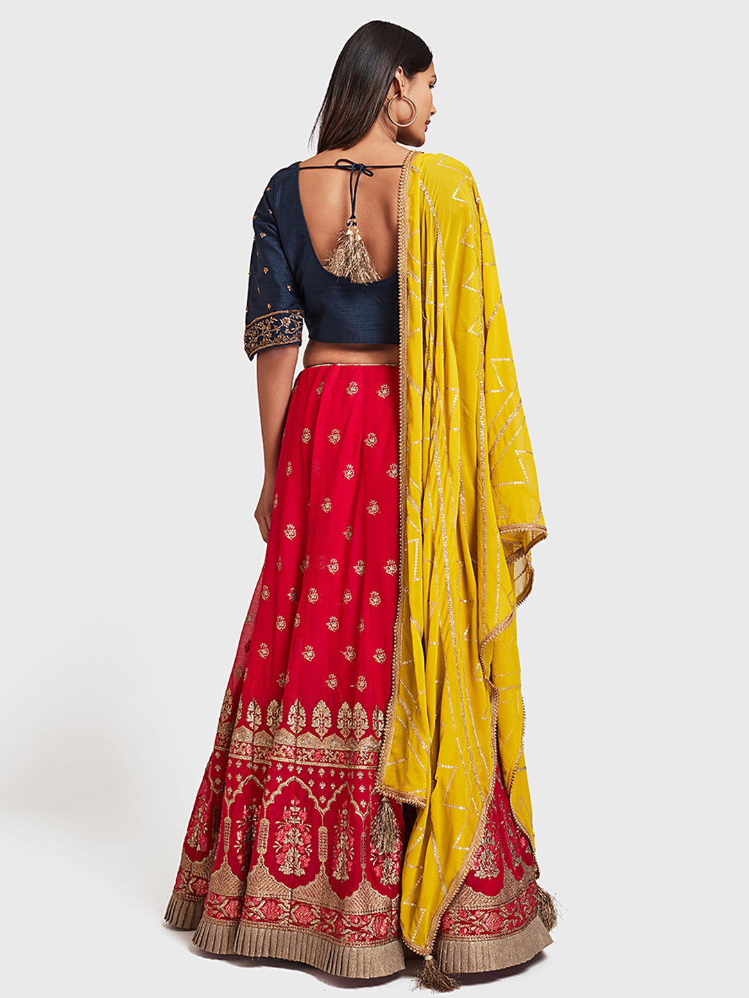 Neerus Multi georgette embellished lehenga set - back view
