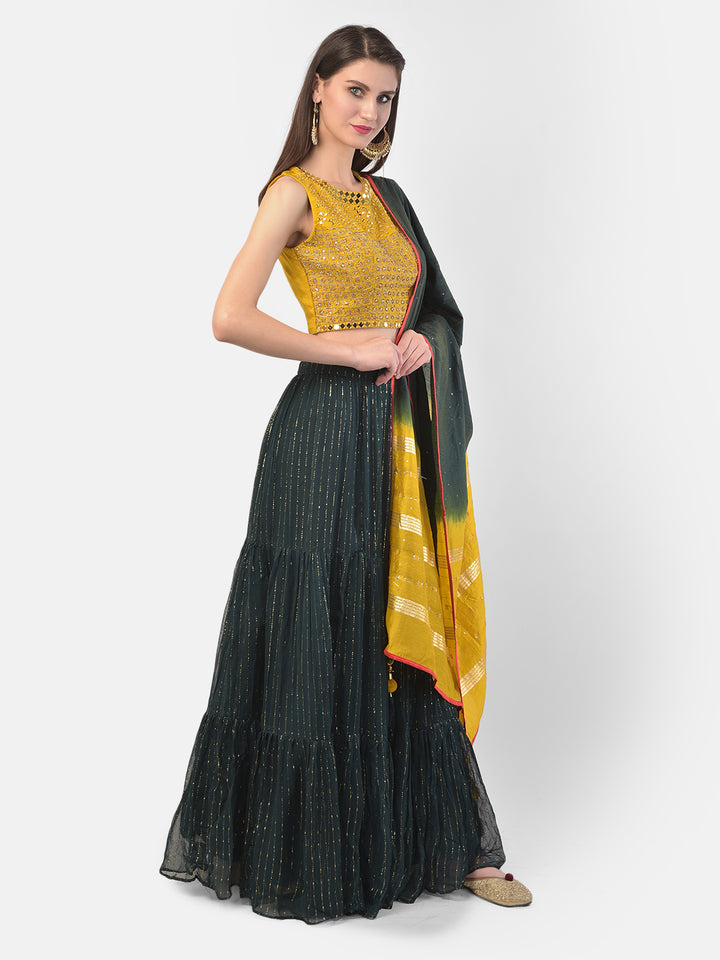 Neerus Green georgette embellished lehenga set - back view