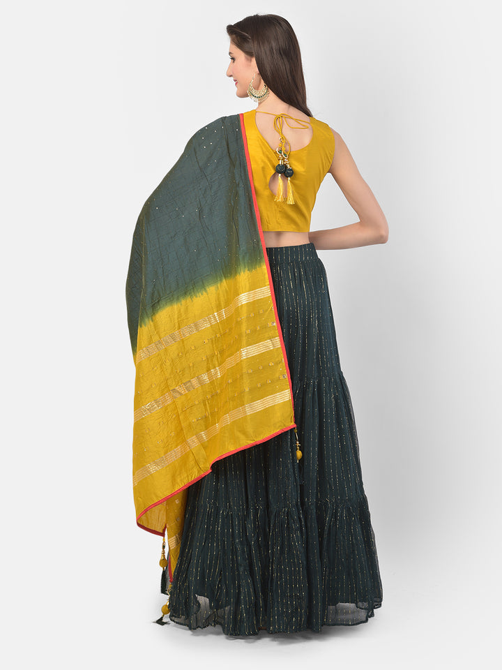 Neerus Green georgette embellished lehenga set - side view