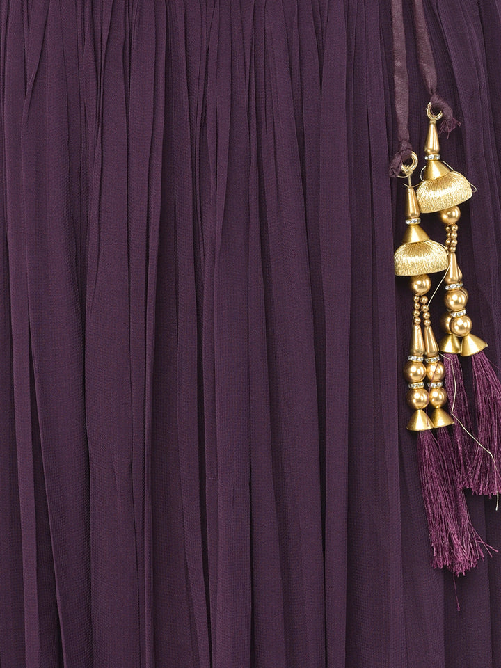 Neerus Maroon georgette embellished lehenga set - detail view 5