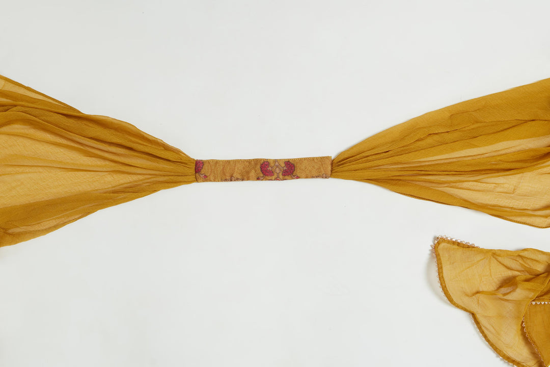 Neerus M Green Color Georgette Fabric Anarkali Suit Set