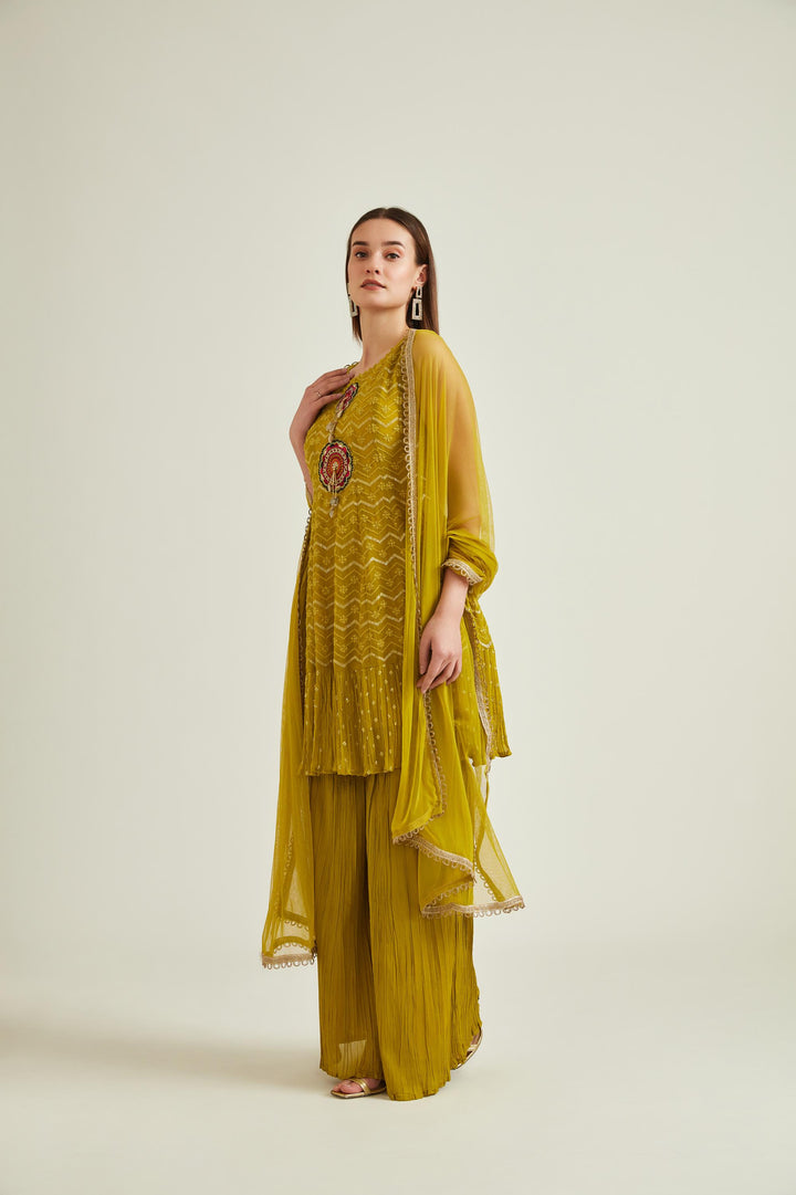 Neerus Green georgette embroidered suit set - front view