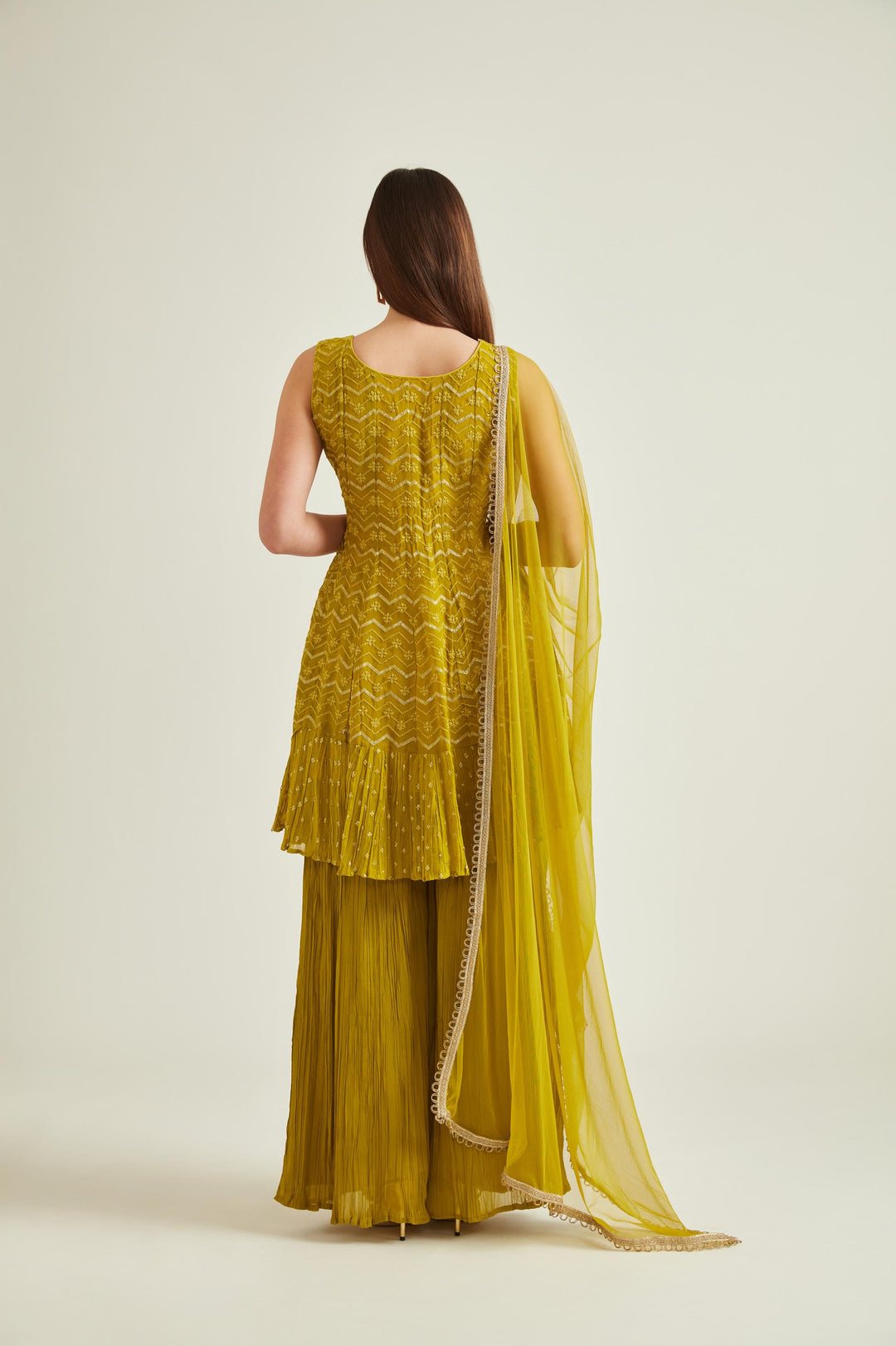 Neerus Green georgette embroidered suit set - back view