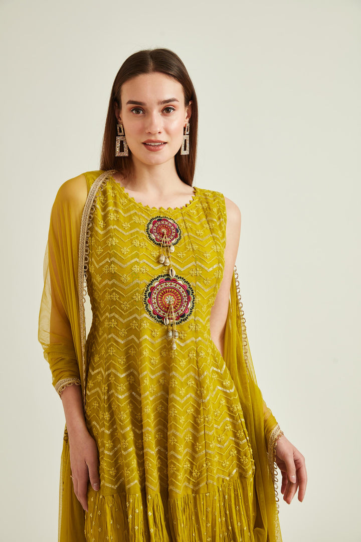 Neerus Green georgette embroidered suit set - side view