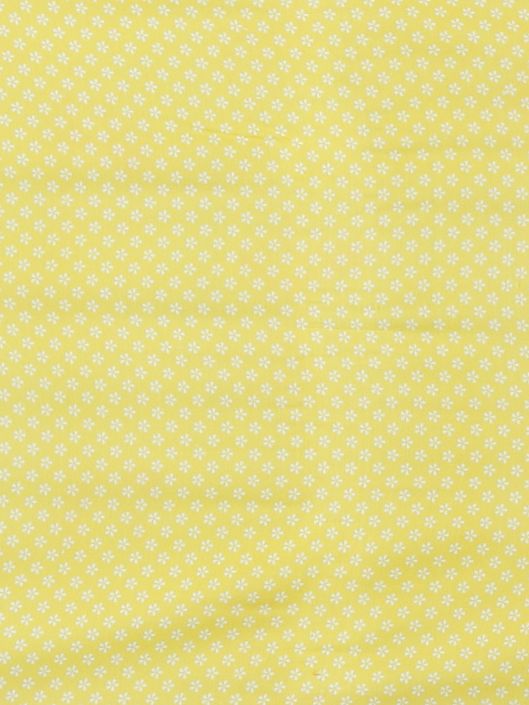 Neerus Blue Printed Saree With Blouse