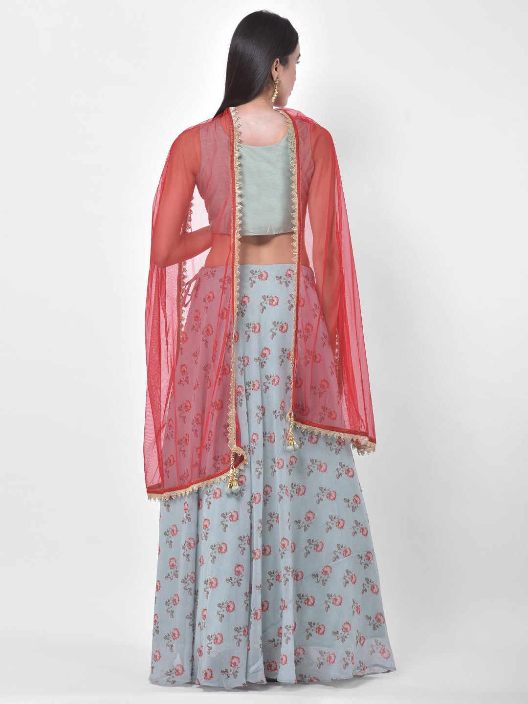 Neerus Green Georgette Embellished Lehenga Set - detail view 1