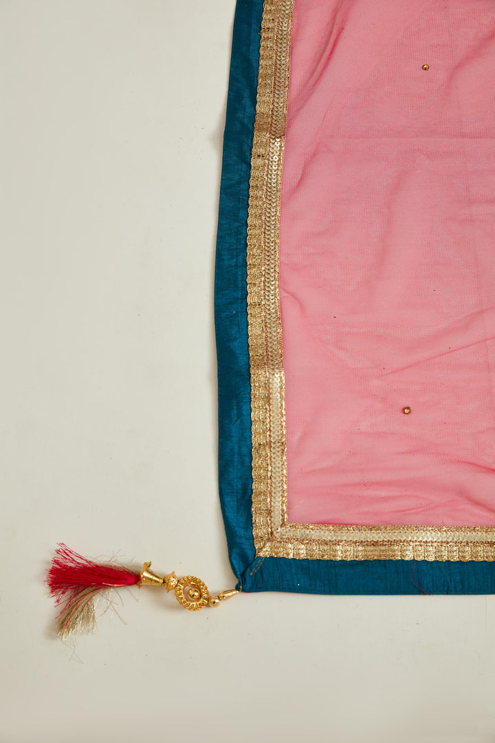 Neerus Rama Colour Georgette Fabric Suit