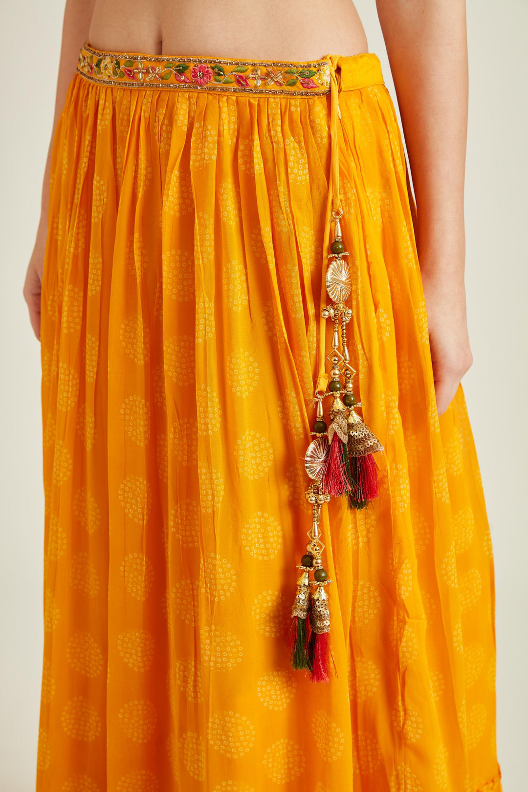 Neerus Yellow georgette embellished lehenga set - detail view 3