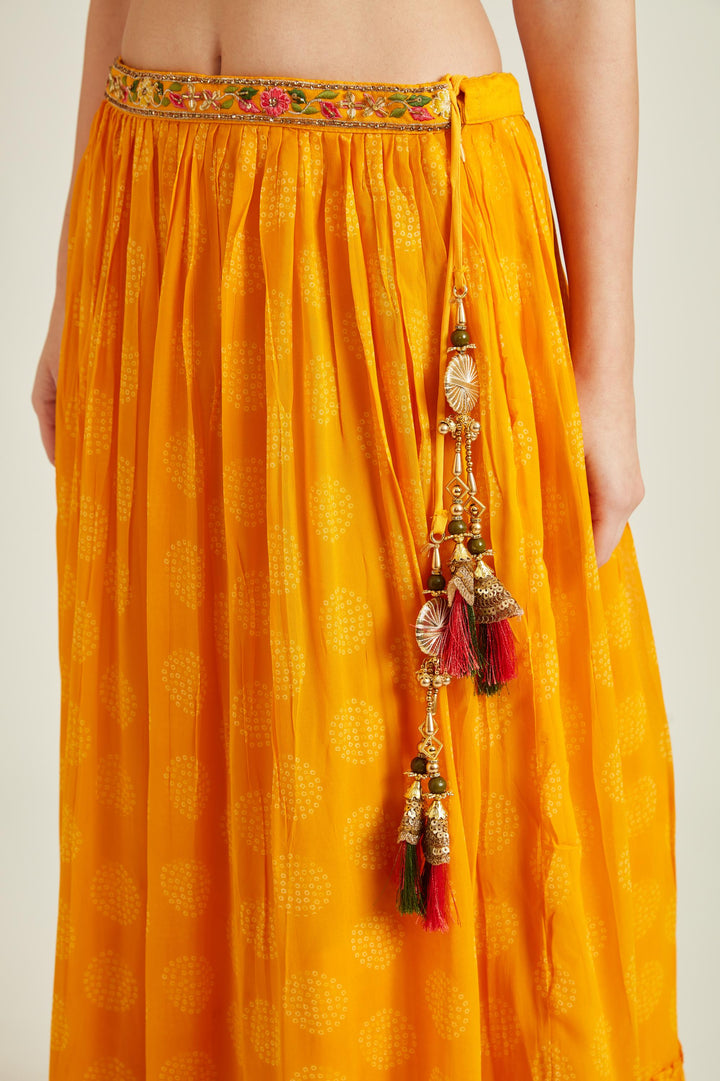 Neerus Yellow georgette embellished lehenga set - detail view 3