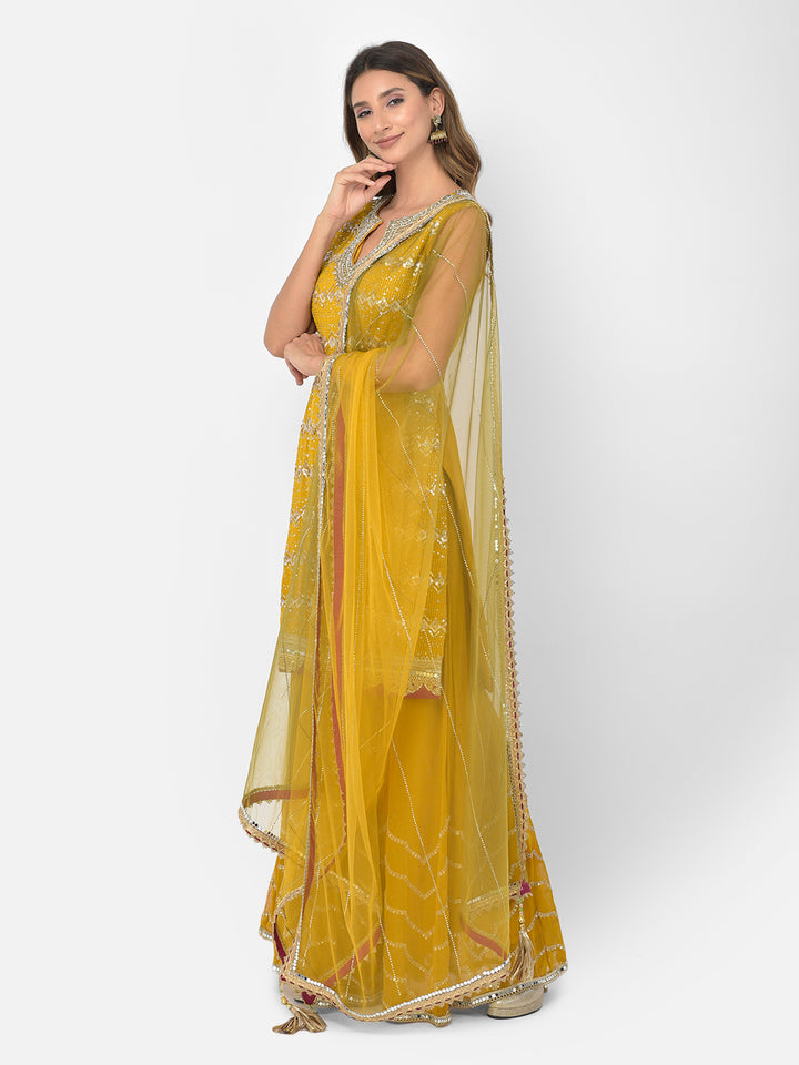 Neerus Yellow georgette embellished kurta set - back view