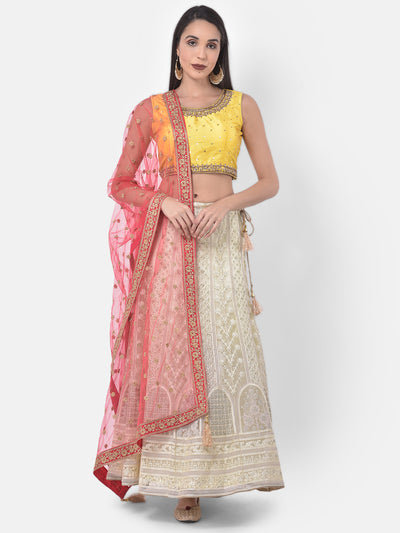 Neeru'S Beige Color Nett Fabric Ghagra Set