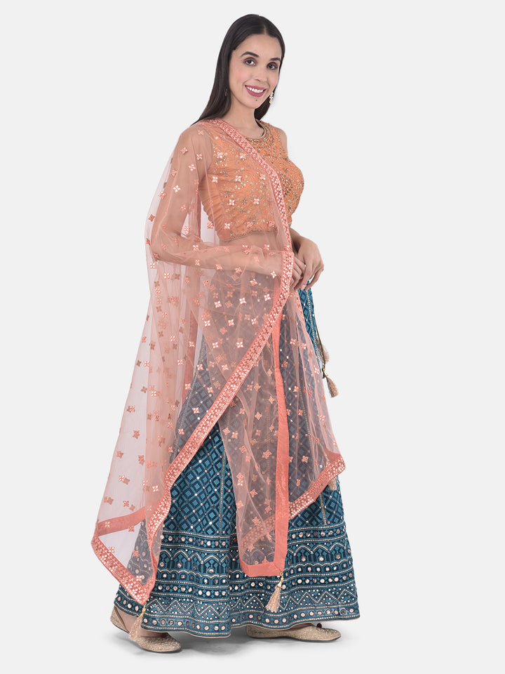 Neerus Blue net embellished lehenga set - front view