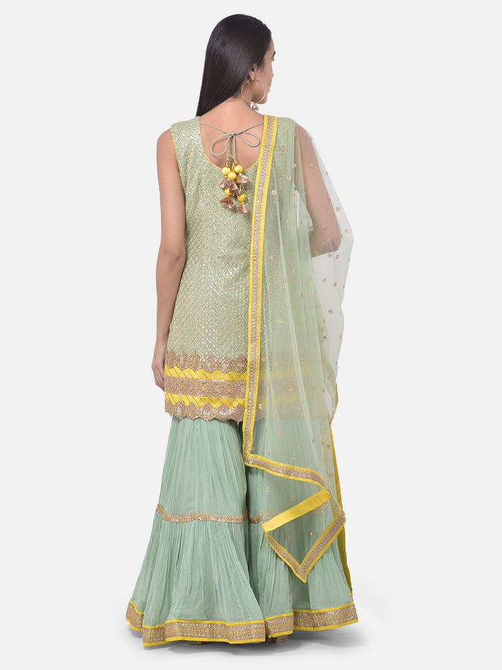 Neerus Pista Color Georgette Fabric Suit-Gharara