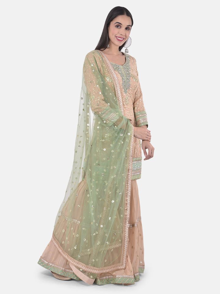 Neerus Pink georgette embroidered sharara set - front view