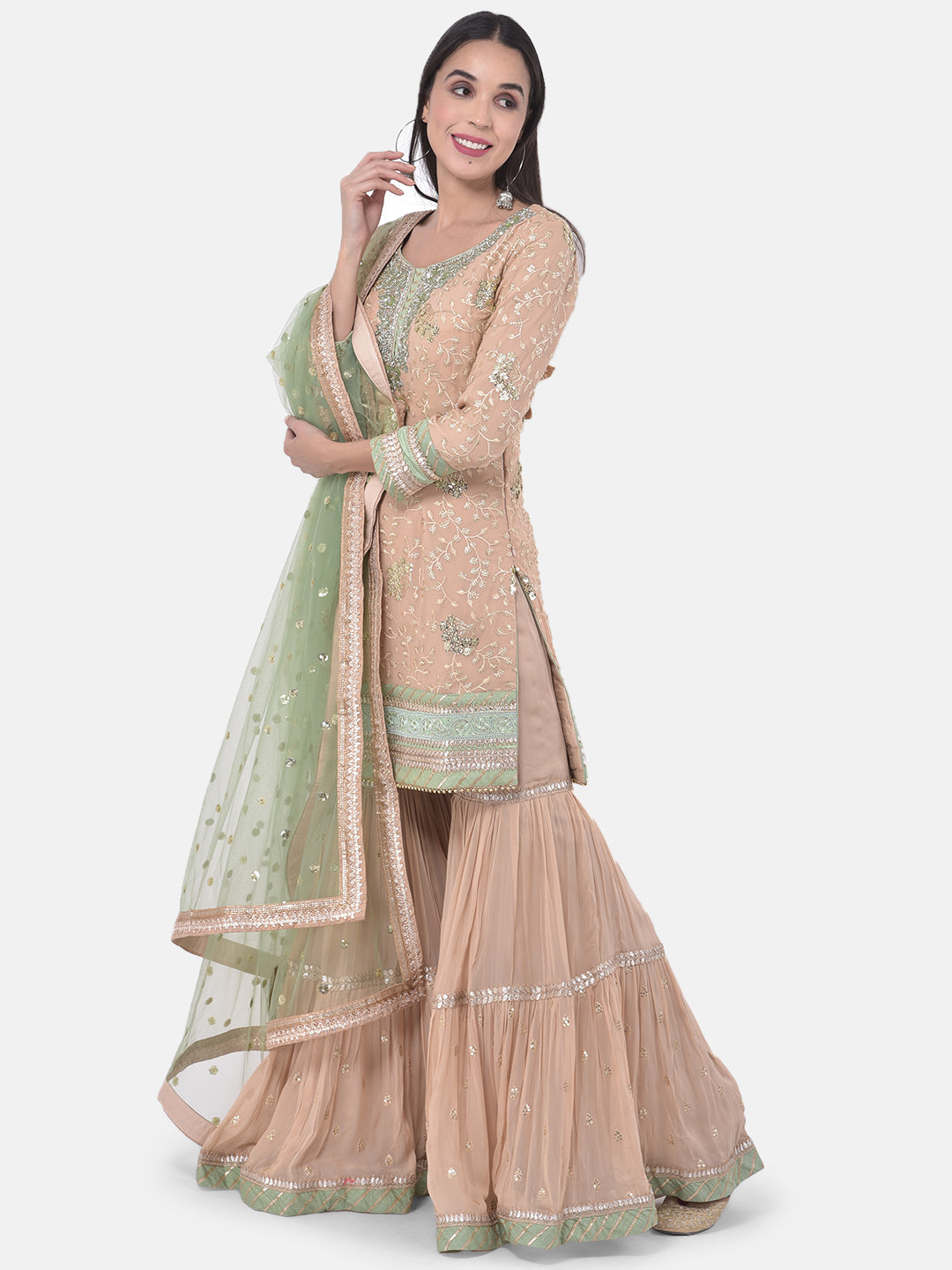 Neerus Pink georgette embroidered sharara set - back view