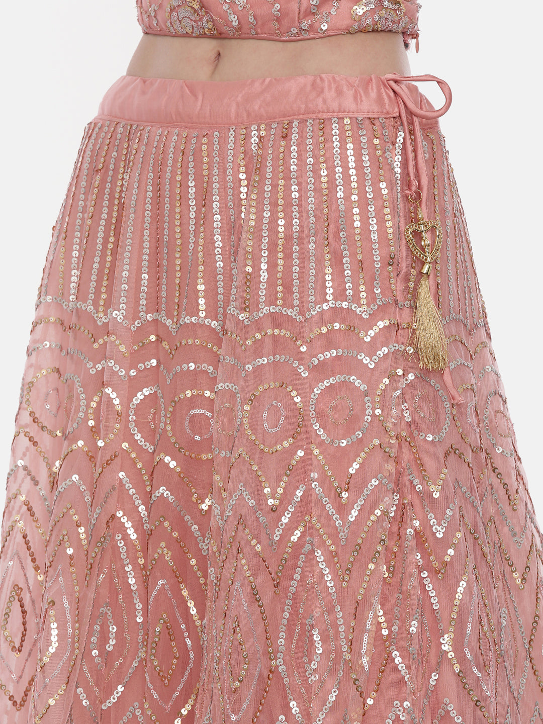 Neerus Pink net embellished lehenga set - detail view 5