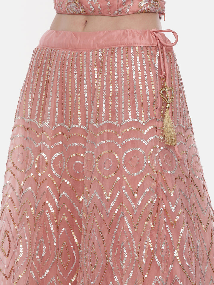 Neerus Pink net embellished lehenga set - detail view 5