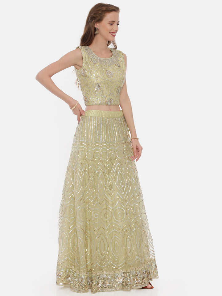 Neerus Green net embellished lehenga set - detail view 2
