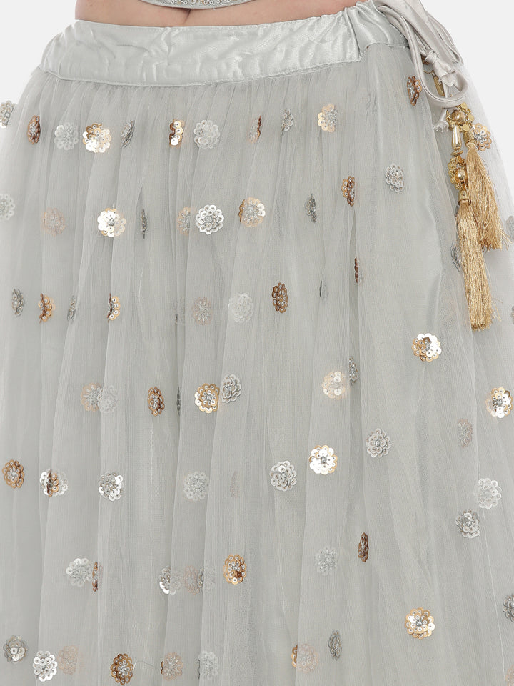 Neerus Grey net embellished lehenga set - detail view 5