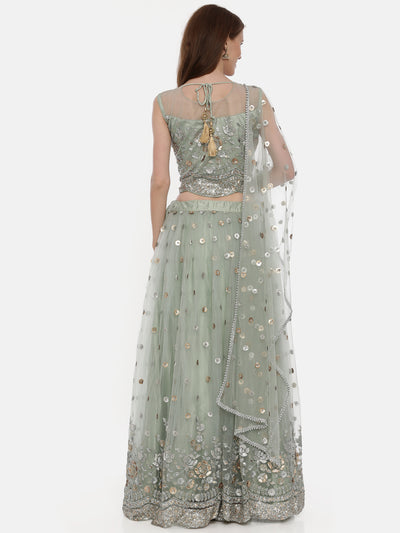 Neeru'S Pista Green Color,Nett Fabric Ghagra Set