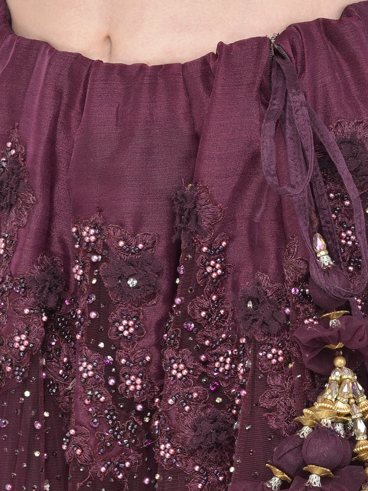 Neerus Wine Color Nett Fabric Lehenga Choli