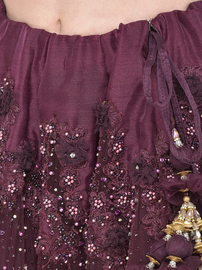 Neeru'S Wine Color Nett Fabric Lehenga Choli