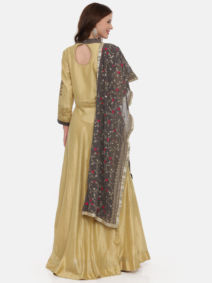 Neerus Beige Color Chanderi Silk Fabric Gown