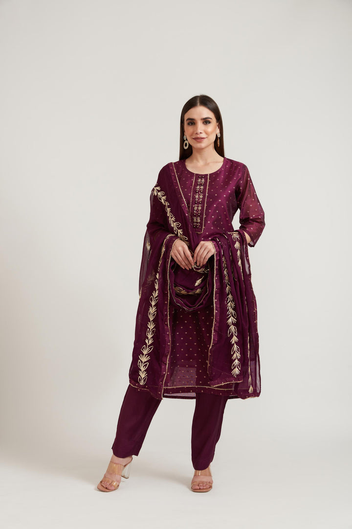 Neerus Purple Chanderi printed suit set - back view