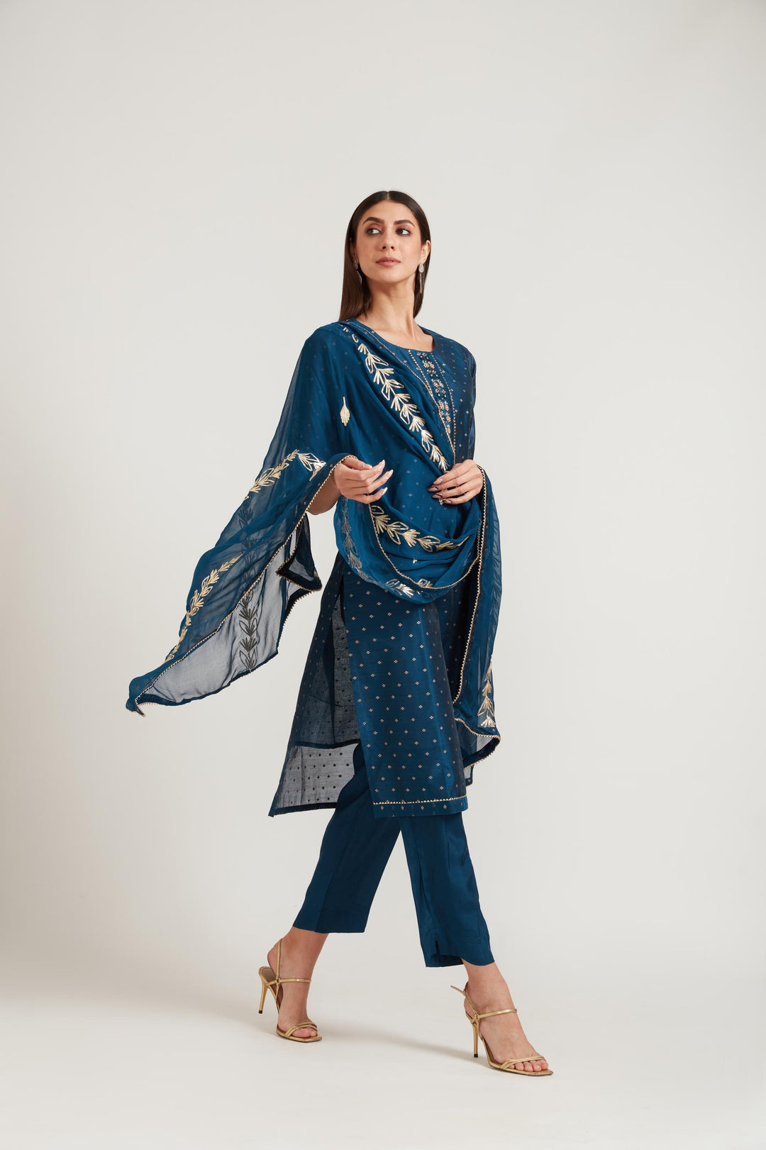 Neerus Blue Chanderi printed suit set - side view