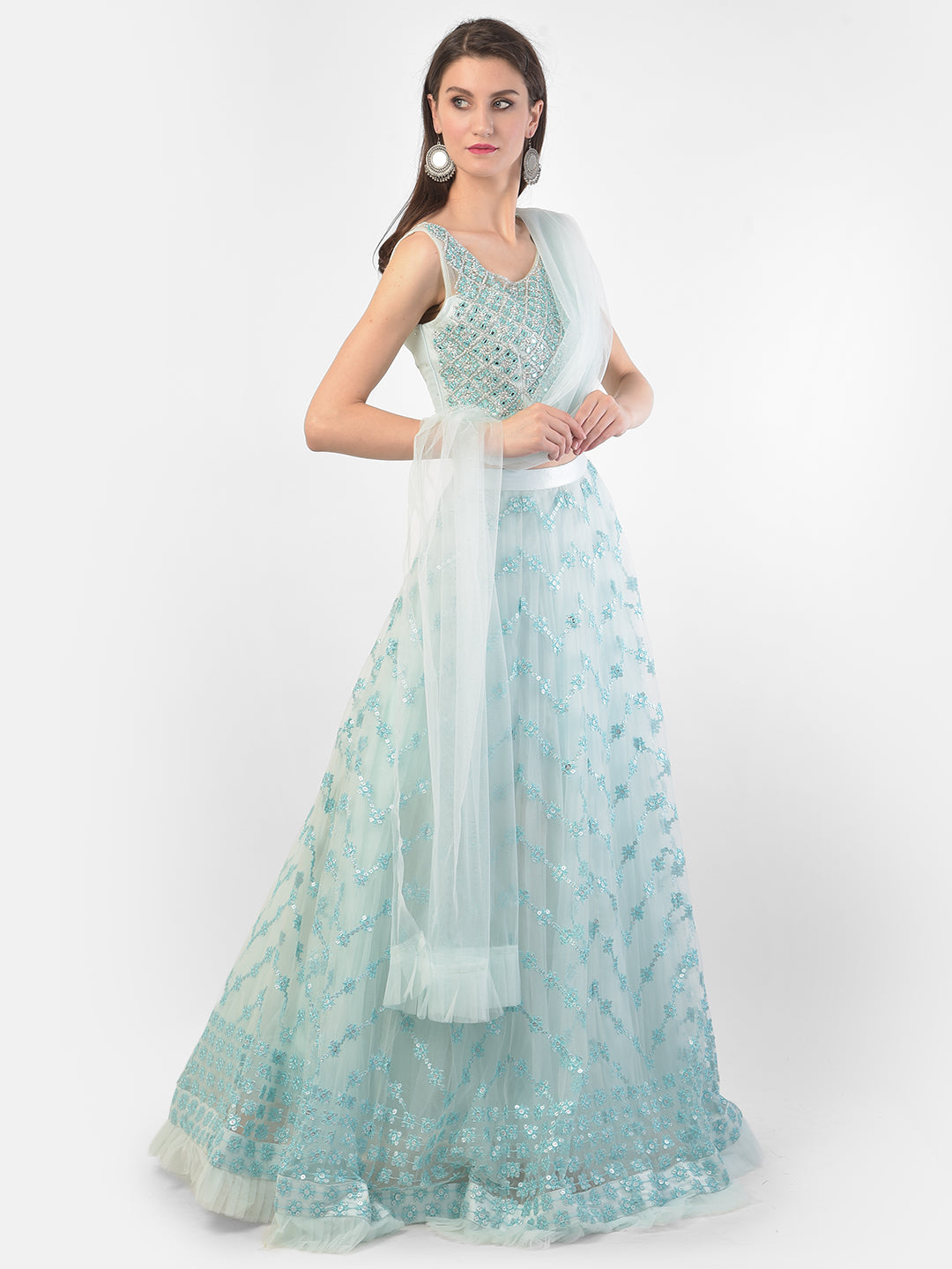 Neerus Blue net embellished lehenga set - back view