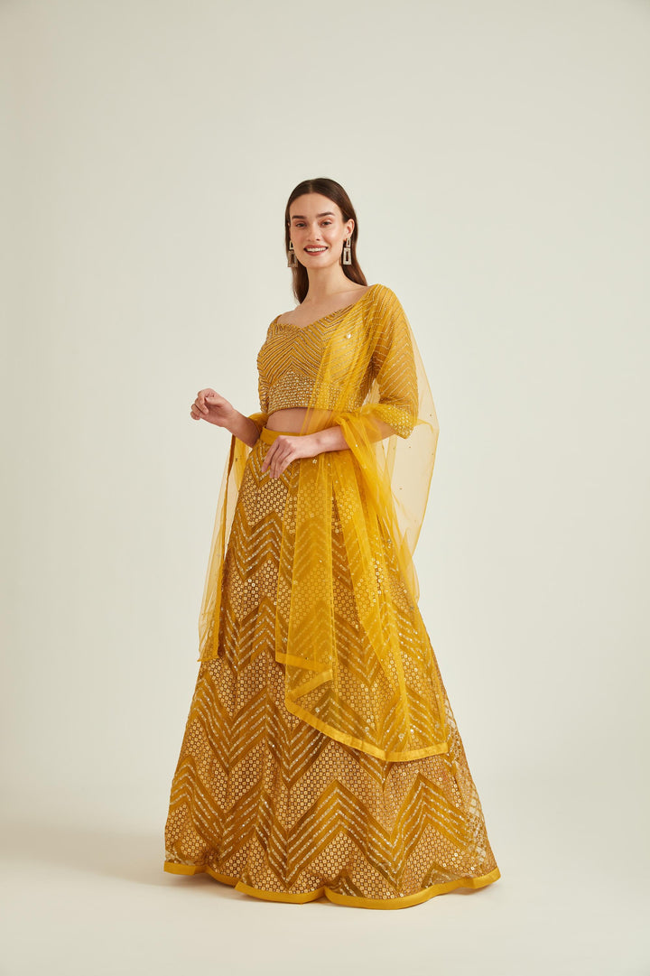 Neerus Yellow net embellished lehenga set - front view