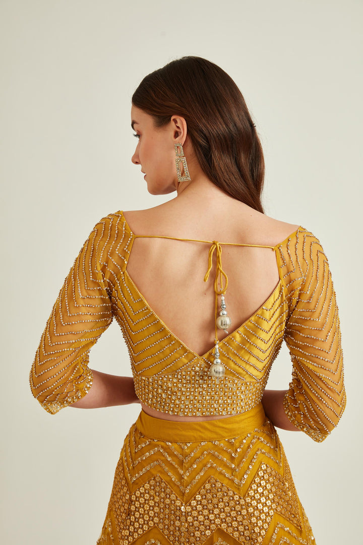 Neerus Yellow net embellished lehenga set - detail view 2