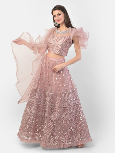 Neeru'S Onion Color, Nett Fabric Ghagra Set