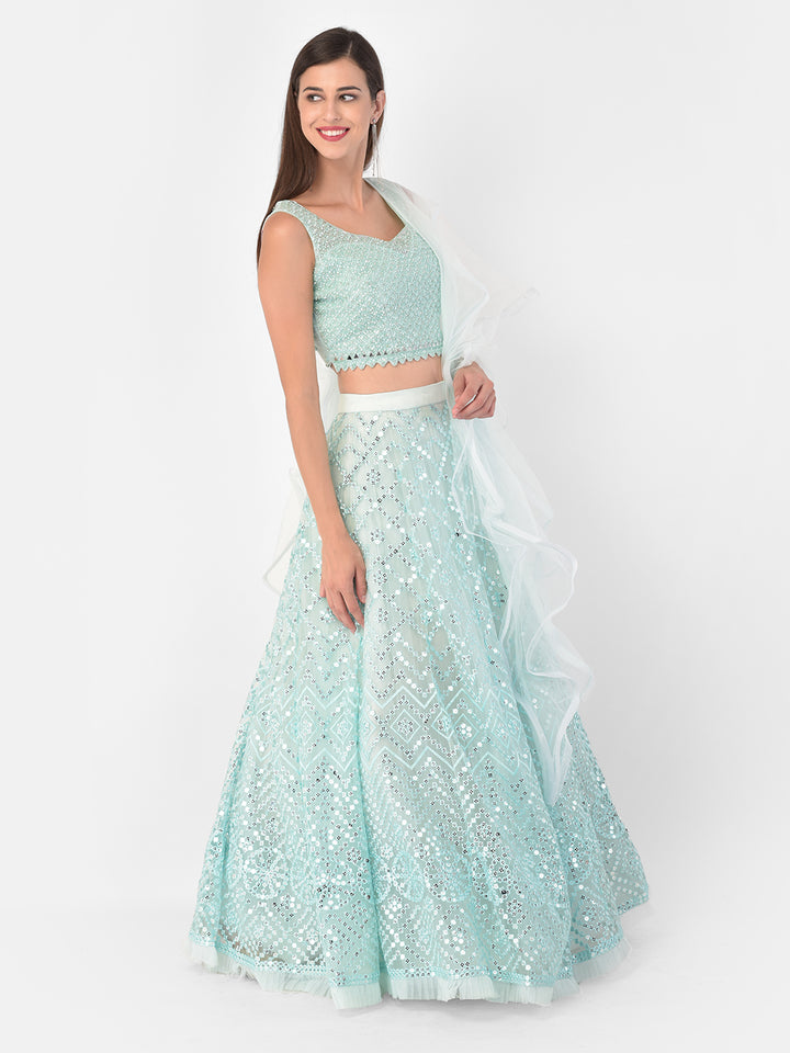 Neerus Blue net embellished lehenga set - back view